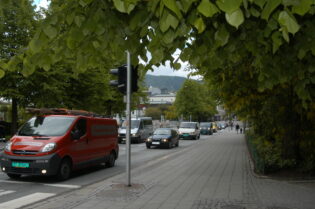 Bilde av bytrær